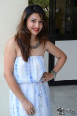 Shweta Basu Prasad at Intelligent Idiots Movie Press Meet